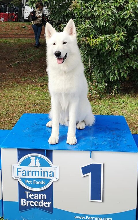 79c3df96-5b33-4fba-9869-19337d842fa8