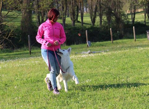 e10ce058-f1ec-4a2f-a667-d0c430b4f621