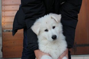 618d51c7-3594-495e-8514-d2b1fae5b79d