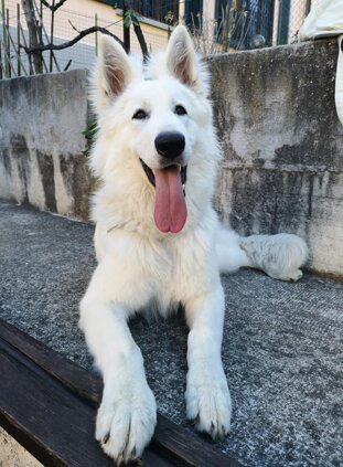 63207127-ff51-40fb-9e24-69d19d2245ac