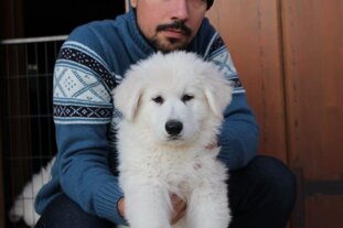 0f01522a-5dc6-425c-9b95-02d93289f452