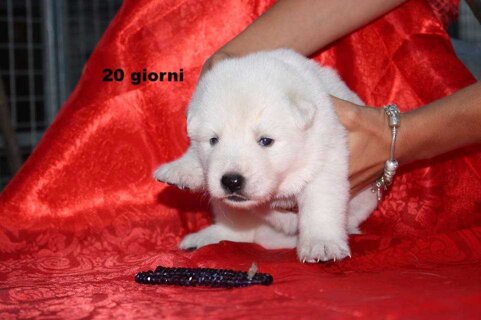 6cb0e9f4-37e0-4afa-86e3-a6400c7b7bcc