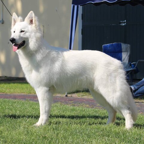 0cac890e-4f04-4726-80ac-7accb31314cb