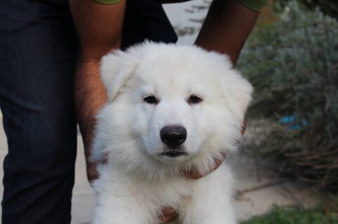 dc60facf-a877-4033-8f97-0ef28e3e098c dc60facf-a877-4033-8f97-0ef28e3e098c