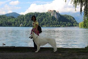 26073bba-ef75-4214-8aeb-ee83d867d19b