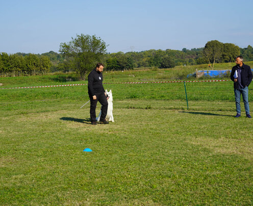 ritorno al piede del conduttore ritorno al piede del conduttore