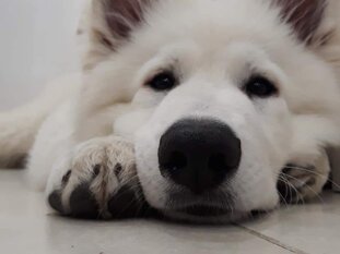 fd5cbbe0-e29d-46cf-abeb-eccf791d68c6