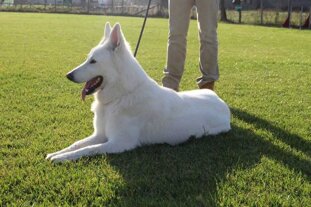 4762cdb0-7ef7-4031-a26a-f2401f34c833