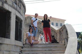 53065a77-a8aa-4c52-a753-d15980bf6c19