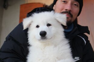 c751c3ff-8fff-4977-a93c-89e2d86d15b8