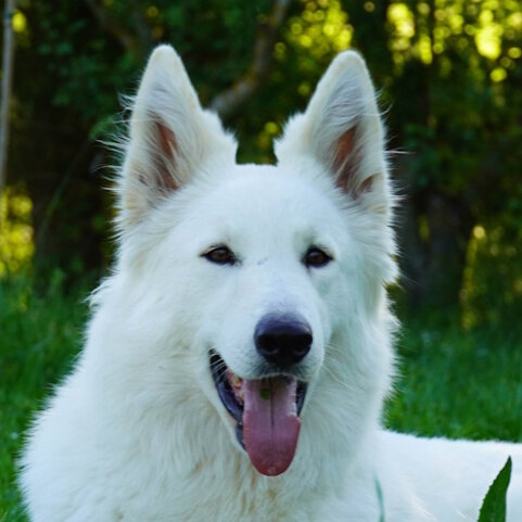 c438ce94-9353-4424-b976-2bae4f7fe3fe