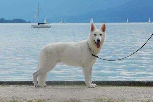 5b1813ec-be6f-4071-8b6e-7ae7ddb3ca6f