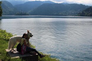 0696af5e-d78a-4e10-a9f8-ea459fd0a48d