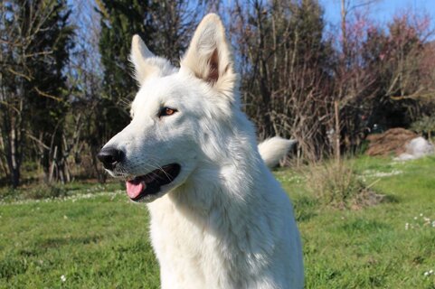 9b4876dc-6521-49c4-bc3b-6c1c1635dea4