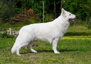 9a33decb-c575-4b47-8bda-9672c08e8bcf