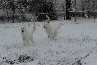 59c1dec5-c50d-4b24-88bd-34feb47bdb8e