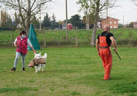 4e85f194-4c41-4f11-a5a9-dbdc18ef3aee 4e85f194-4c41-4f11-a5a9-dbdc18ef3aee