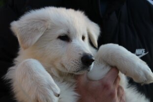 aade6ef5-1efc-4bc7-90be-d80e6c34c61f