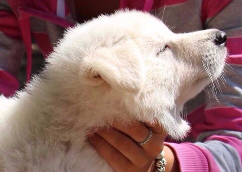 4516b3cd-4049-444a-89bb-3e89e656b0b7