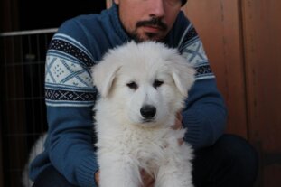 7be3a156-957d-4e51-8bd3-c9b93167de8a