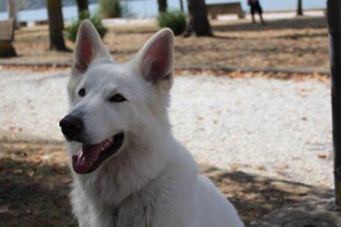 3fe623f8-1945-4c6b-981d-b6e42dc42b8f