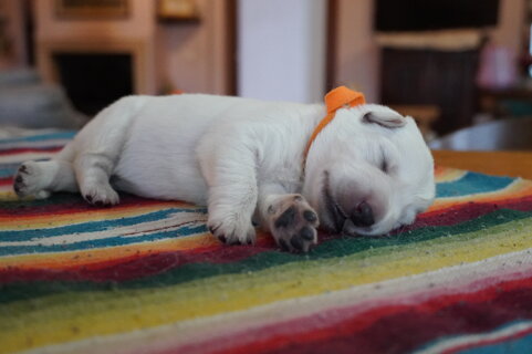 76f28550-affc-4829-9fa4-fe9f61509ce3