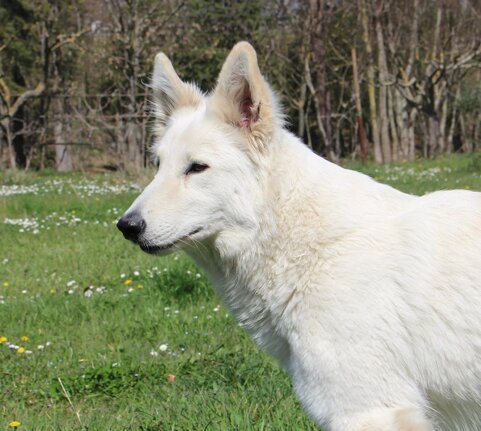 50564fda-2318-4f56-935e-c3ddc22fae37