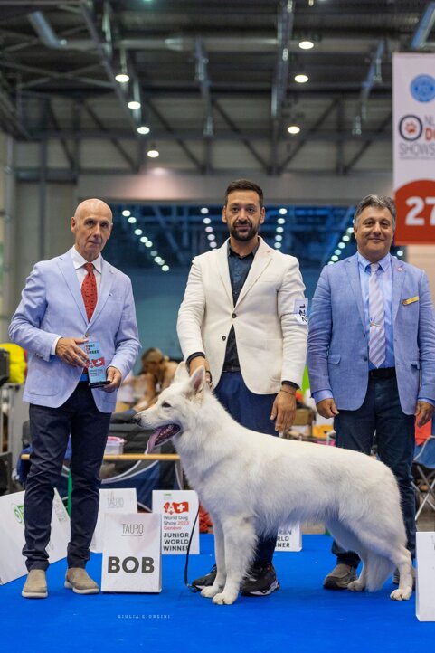 1e1bc05d-2de2-4df4-9099-e699a676f42a