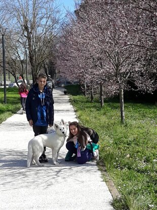 20183169-9f75-4b04-8fdf-102eb6f78105