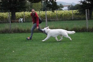 3e2a69d0-d0be-4df6-9039-6d4a07e704e0