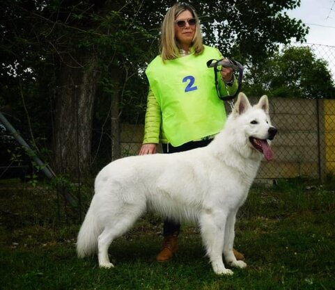 3188f542-fedb-4911-ba46-76dadc6d0942