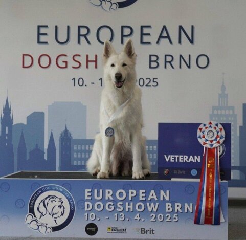 98a65a50-b957-42e8-a835-b601b36c5984 98a65a50-b957-42e8-a835-b601b36c5984