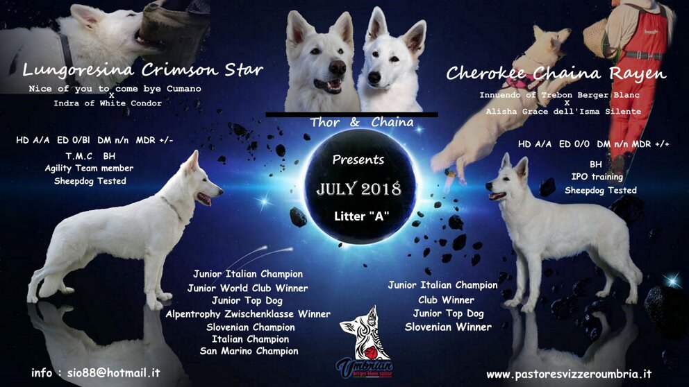 82cc9a11-c31b-45d8-b874-2db3d640782d