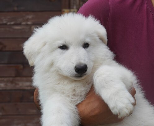 b4624ca6-04ab-47a2-b2d6-1989a2086063