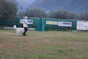 6ef0b35e-c1d5-4766-89a6-86fafd8f19d2 6ef0b35e-c1d5-4766-89a6-86fafd8f19d2