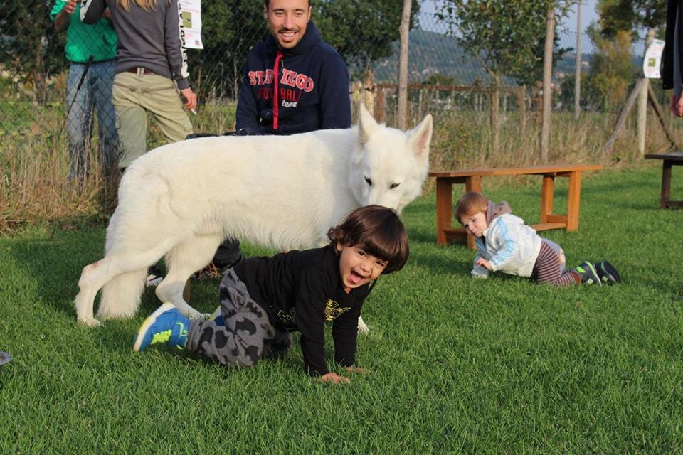 aca3d2c4-1f3e-497c-aa43-afc8bccfb885.jpg aca3d2c4-1f3e-497c-aa43-afc8bccfb885.jpg