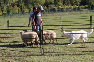 04327faf-b445-4d7c-91b9-822a2d1f31a8