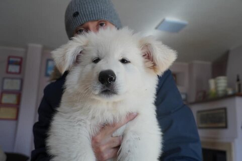 bacef17f-8bbb-4fd9-821a-d9e7cf0af45a