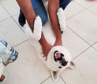 b01c3413-9a9c-46d4-8e0d-951950707c23