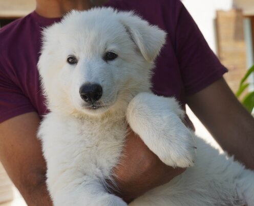 8fb8cf05-ffc5-478d-9351-3b339f64c241