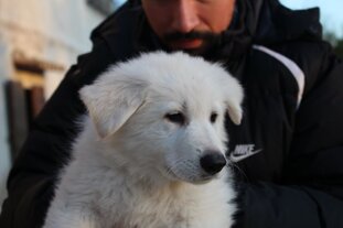 71fa13c3-53b9-4acd-a3d4-c0764bf2817e