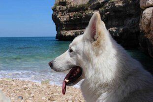 de2aa8d7-e41b-442f-92fd-9c86a5617f75