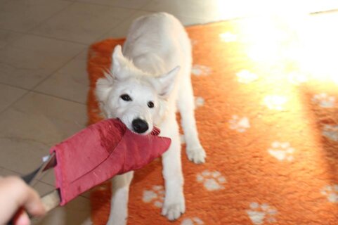 408ee431-0b18-4ead-aed2-9af65ece7712