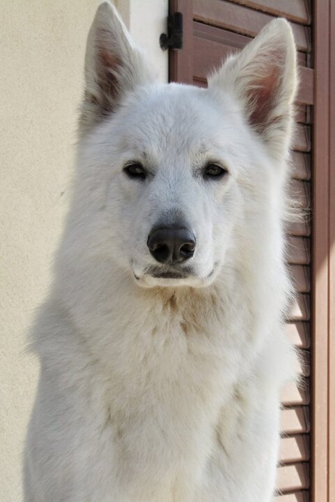 2e869def-6385-4987-a6cf-edff30e6bd2c 2e869def-6385-4987-a6cf-edff30e6bd2c