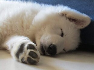 d4e9ae0b-3b87-4179-9bff-624a3584e1f4