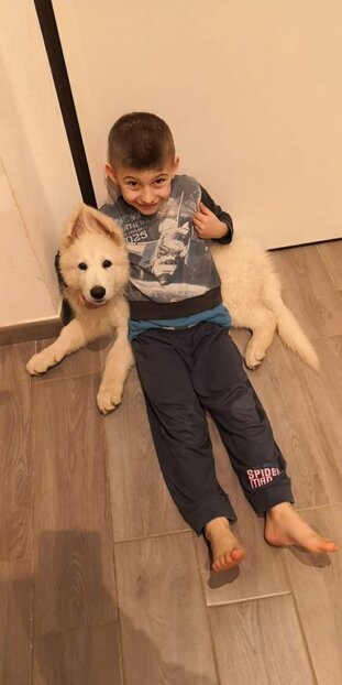 78901d76-cb2f-4d74-b8bb-f03b93096630