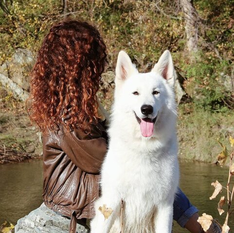 1ee38f99-3bc1-4357-98c6-e45420174534