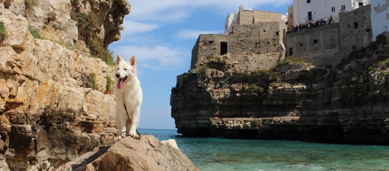 6978a3b5-de25-4e09-98c7-ae6b6af75301.jpg 6978a3b5-de25-4e09-98c7-ae6b6af75301.jpg