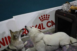 b45661c1-80d8-4927-a089-747f852efa1b