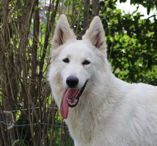 1597cd29-1aa2-44bd-8680-73b86ac2c955